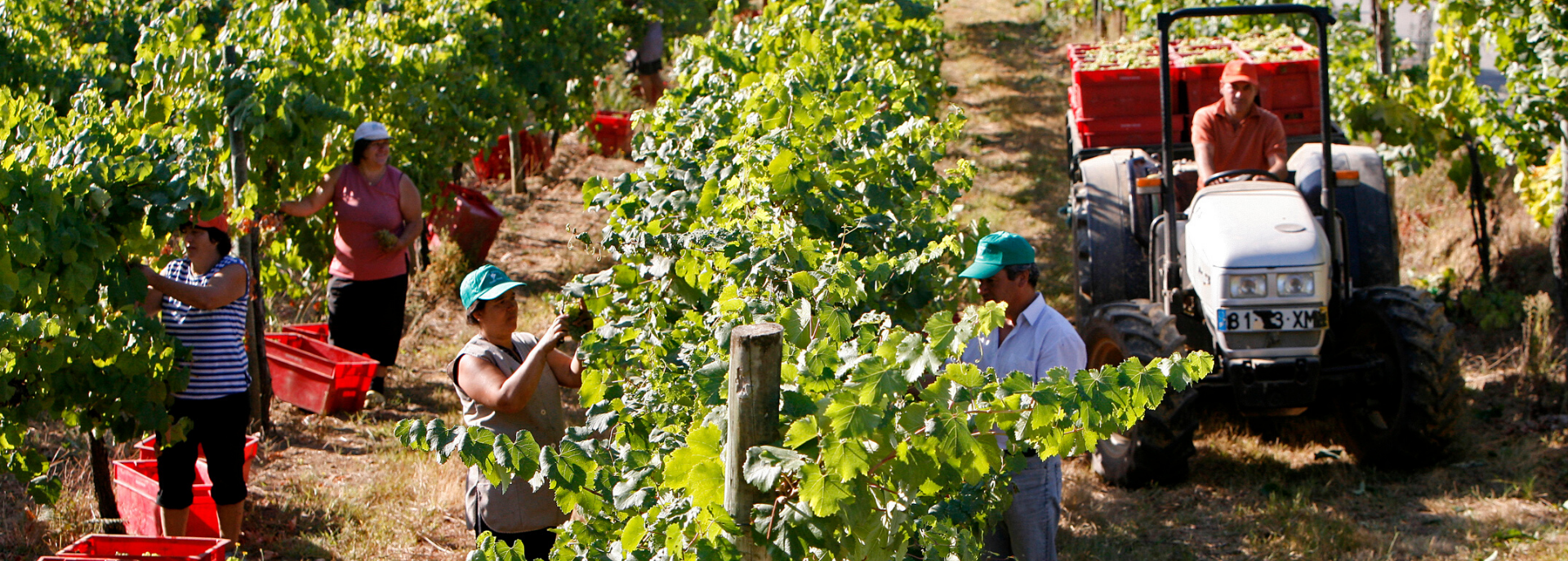 Quinta da Raza vineyard and winery landscape